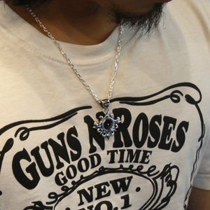 fn-12200so-chain