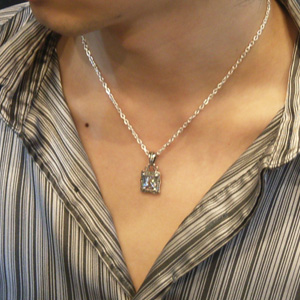 fa-t0049-chain
